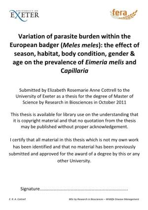 Variation of Parasite Burden Within the European Badger