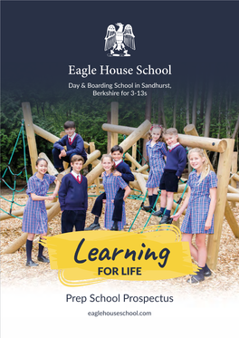 Eagle House School Day & Boarding School in Sandhurst, Berkshire for 3-13S