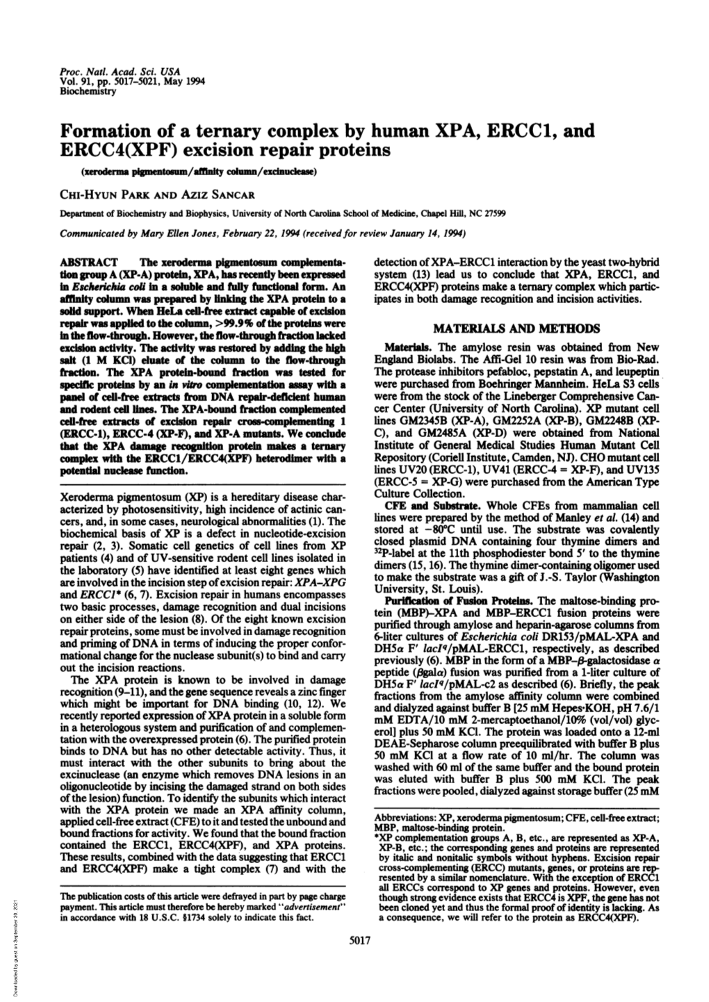 Formation of a Ternary Complex by Human XPA, ERCC1