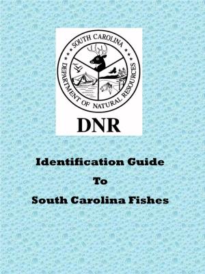 Saltwater Fish Identification Guide
