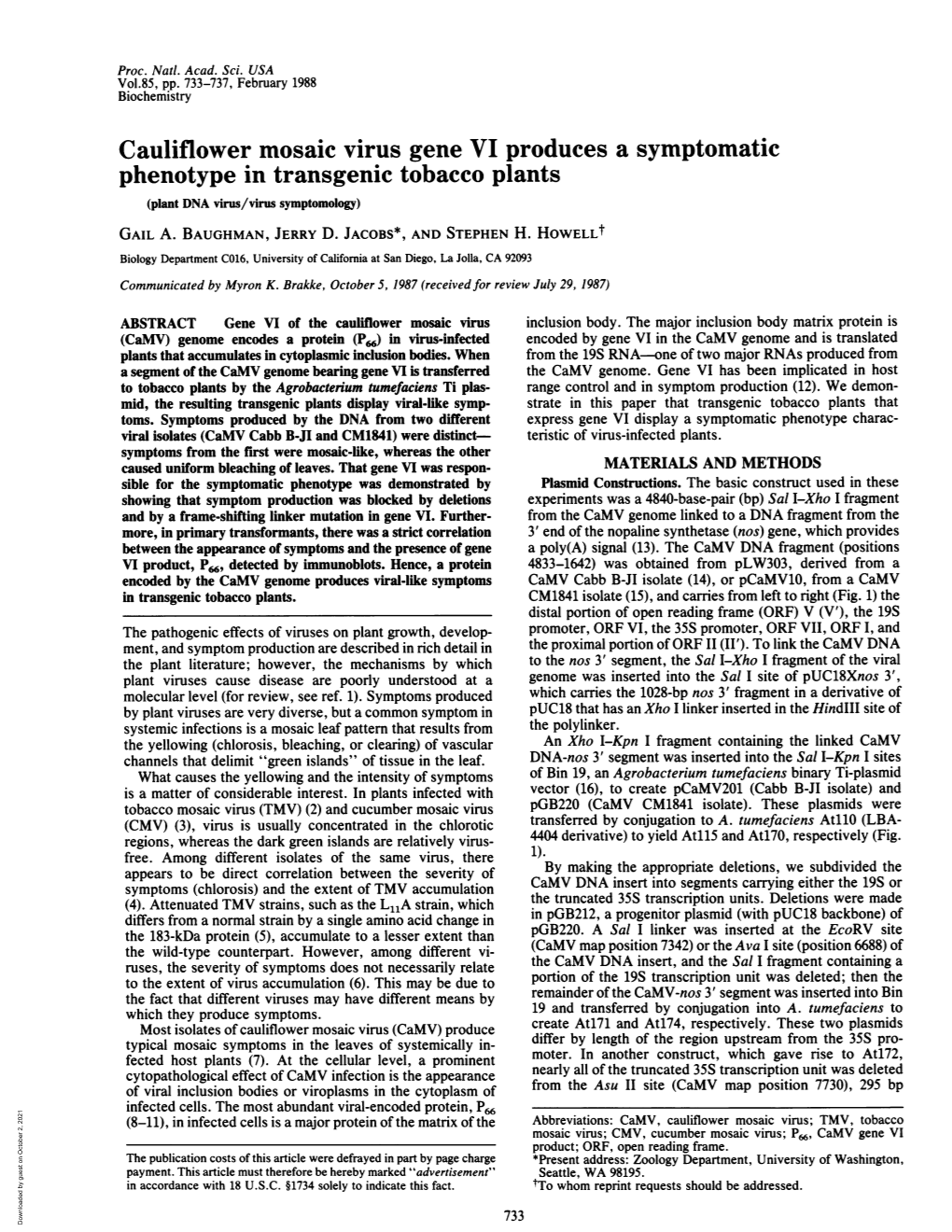 Cauliflower Mosaic Virus Gene VI Produces a Symptomatic Phenotype in Transgenic Tobacco Plants (Plant DNA Virus/Virus Symptomology) GAIL A