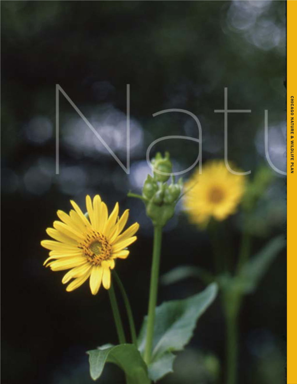 Chicago Nature and Wildlife Plan (2006)