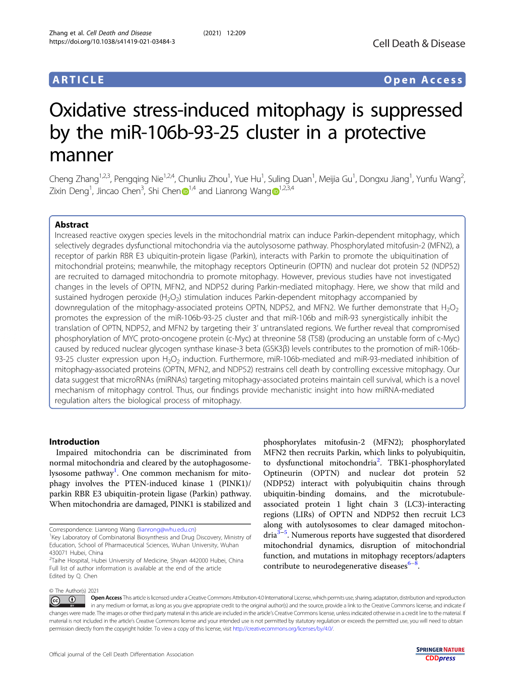 Oxidative Stress-Induced Mitophagy Is Suppressed by the Mir-106B-93-25 Cluster in a Protective Manner