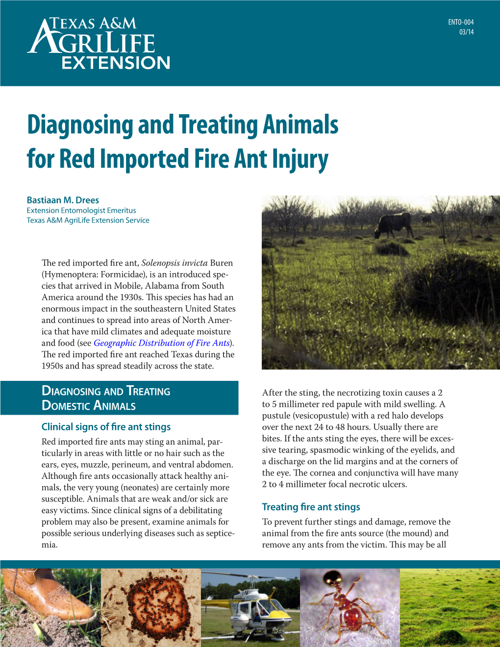 Diagnosing and Treating Animals for Red Imported Fire Ant Injury