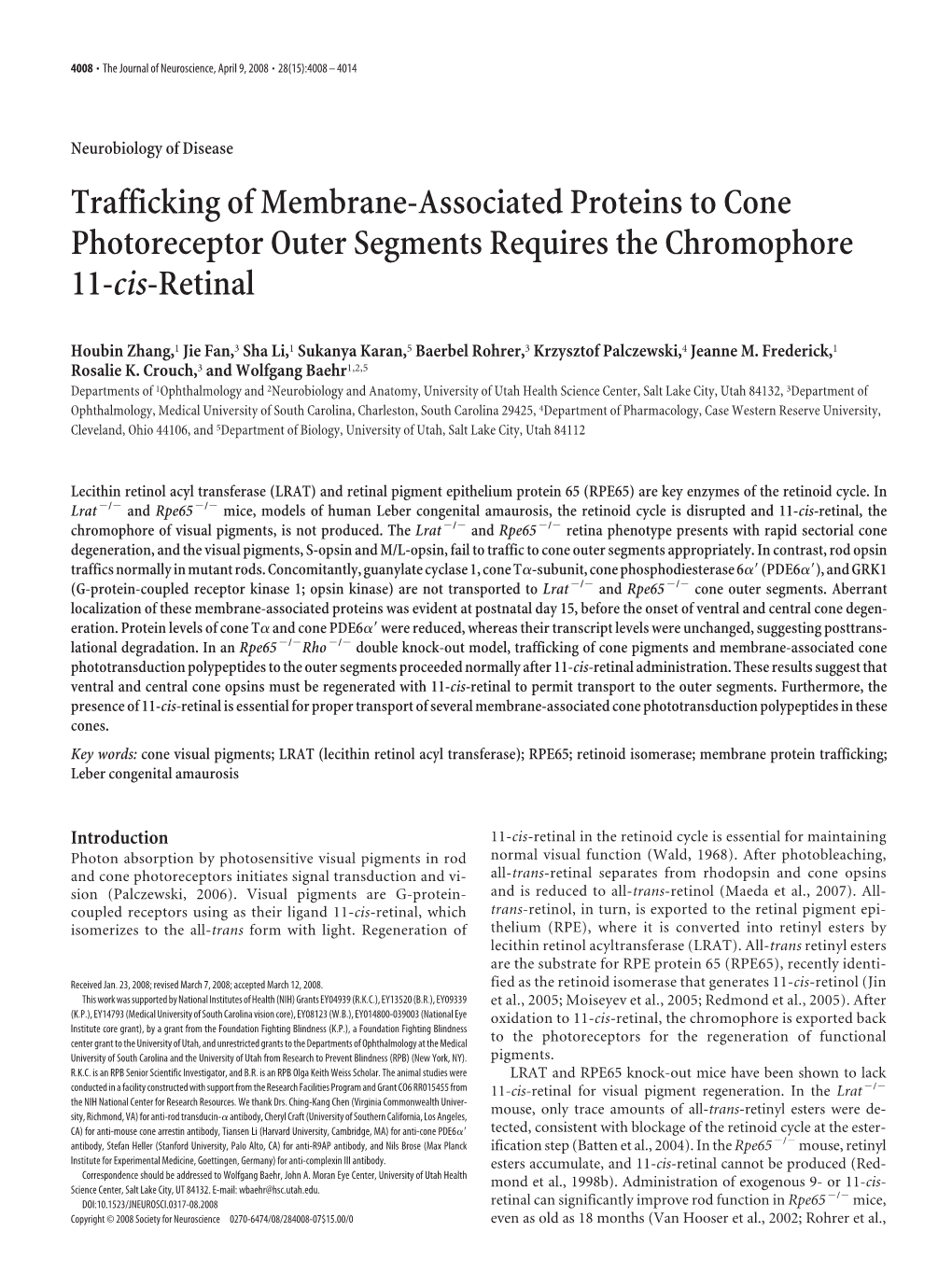 Trafficking of Membrane-Associated Proteins to Cone Photoreceptor Outer Segments Requires the Chromophore 11-Cis-Retinal