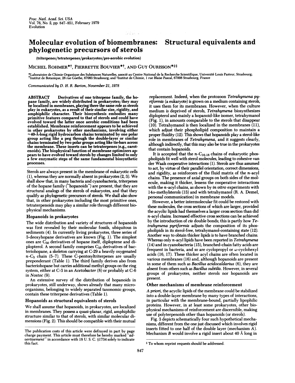 Structural Equivalents and Phylogenetic Precursors Of