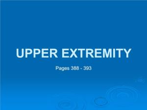 Upper Extremity