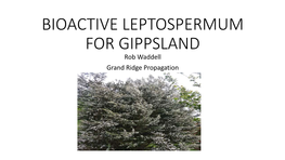 BIOACTIVE LEPTOSPERMUM for GIPPSLAND Rob Waddell Grand Ridge Propagation WHO ARE WE?