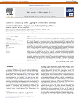 Membrane Selectivity by W-Tagging of Antimicrobial Peptides