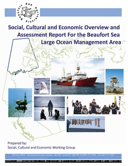 Social, Cultural and Economic Overview and Assessment Report