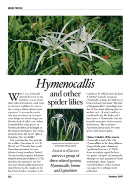 Hymenocallis 26/11/07 12:19 Page 2