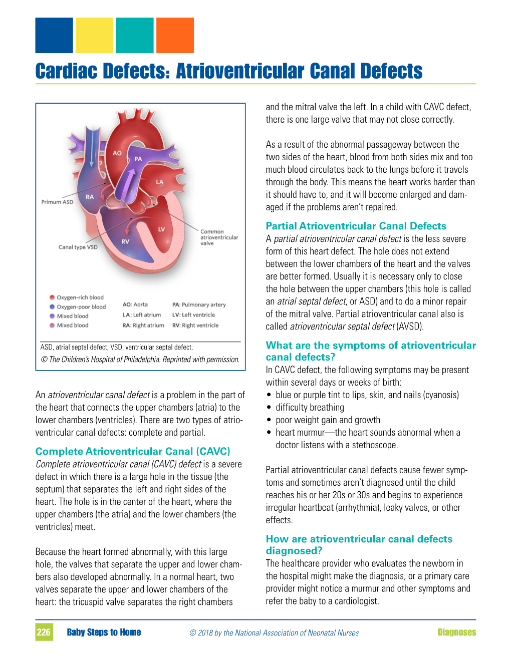 Atrioventricular Canal Defects