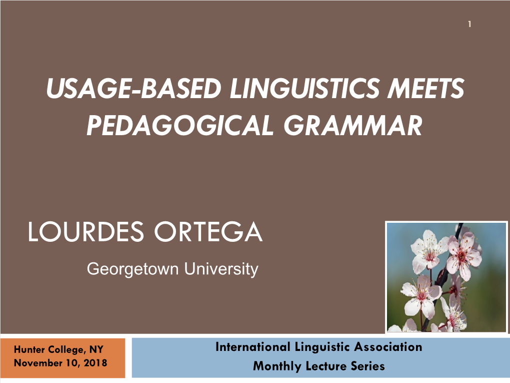 Usage-Based Linguistics Meets Pedagogical Grammar