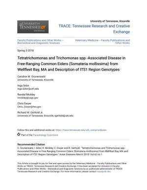 Tetratrichomonas and Trichomonas Spp
