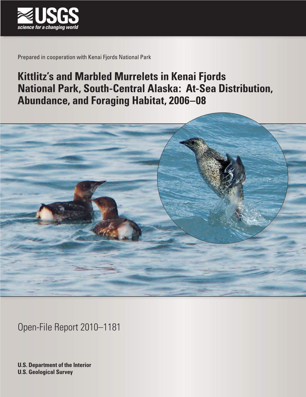 Kittlitz's and Marbled Murrelets in Kenai Fjords National Park, South