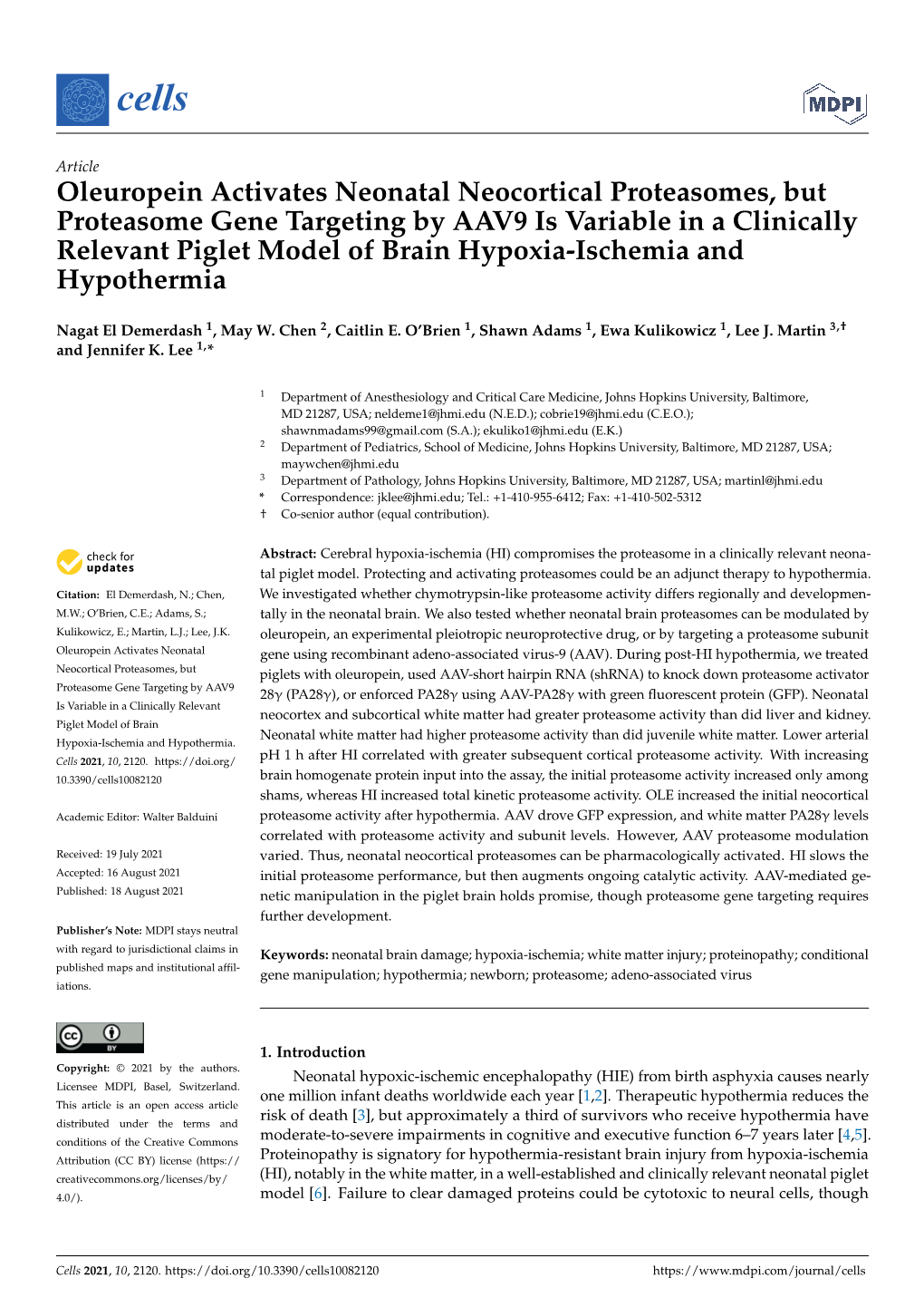 Oleuropein Activates Neonatal Neocortical Proteasomes