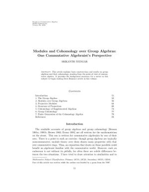 Modules and Cohomology Over Group Algebras: One Commutative Algebraist’S Perspective