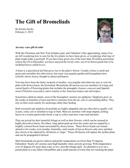 The Gift of Bromeliads