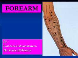 14-Anatomy of Forearm