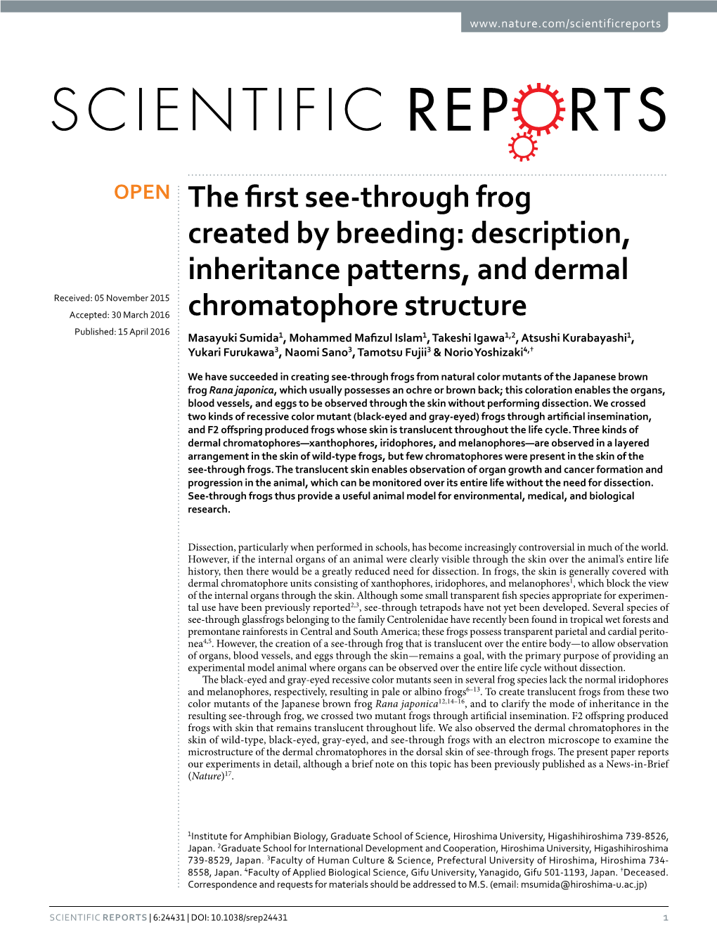 Description, Inheritance Patterns, and Dermal Chromatophore Structure