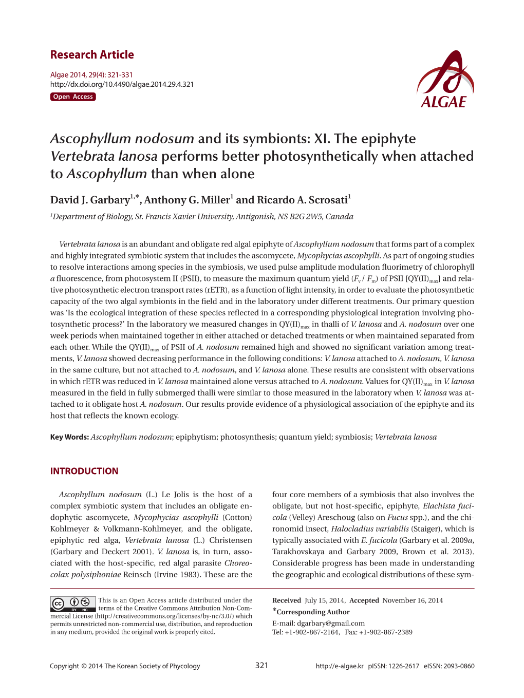 Ascophyllum Nodosum and Its Symbionts: XI. the Epiphyte Vertebrata Lanosa Performs Better Photosynthetically When Attached to Ascophyllum Than When Alone