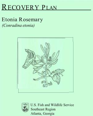 RECOVERY PLAN Etonia Rosemary (Conradina Etonia)
