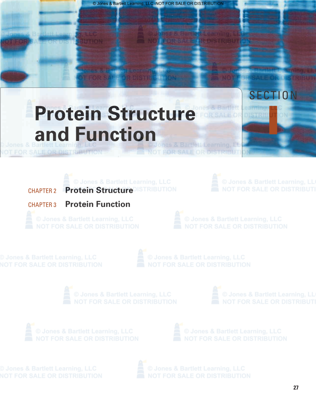 Protein Structure and Function I