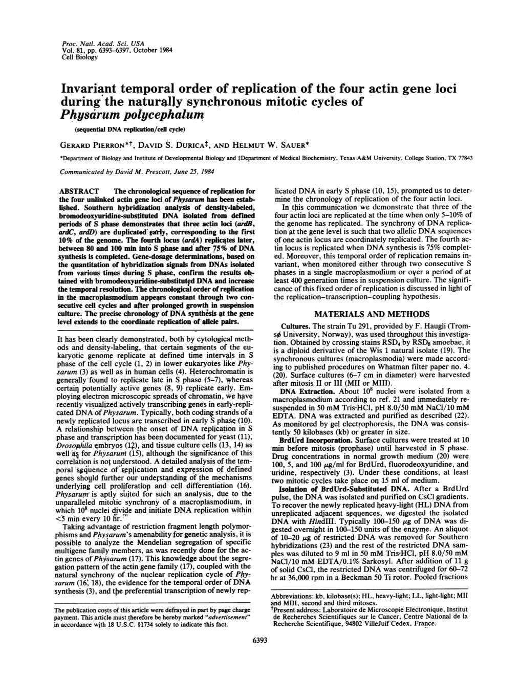 Physarum Polycephalum (Sequential DNA Replication/Cell Cycle) GERARD PIERRON*T, DAVID S