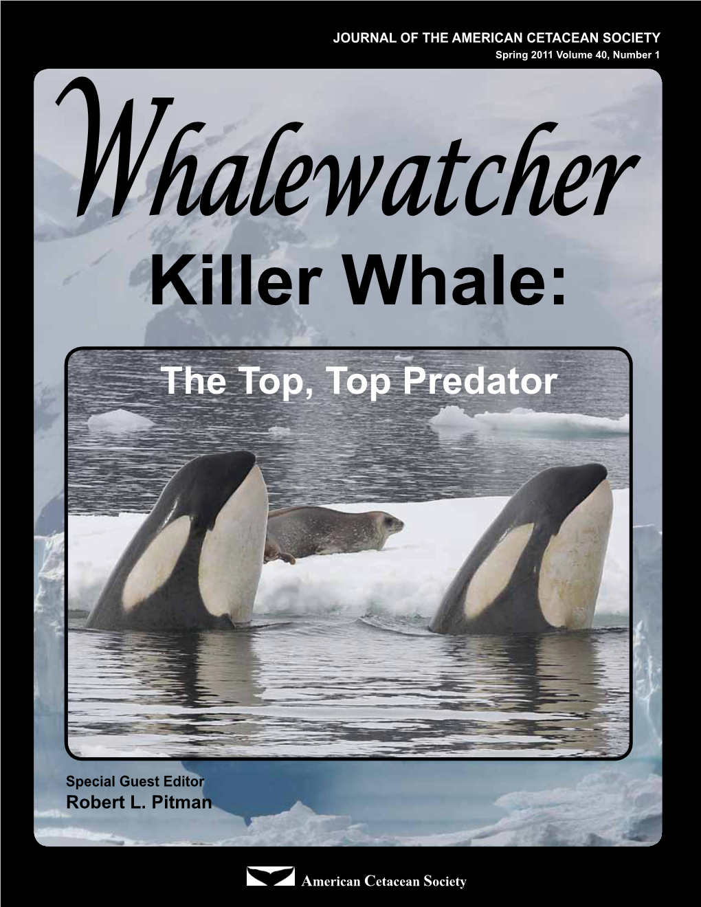 Killer Whale