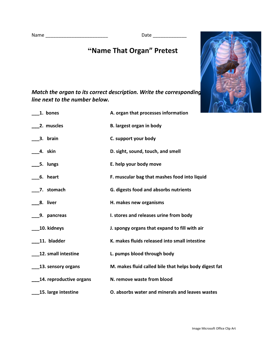 Name That Organ Pretest