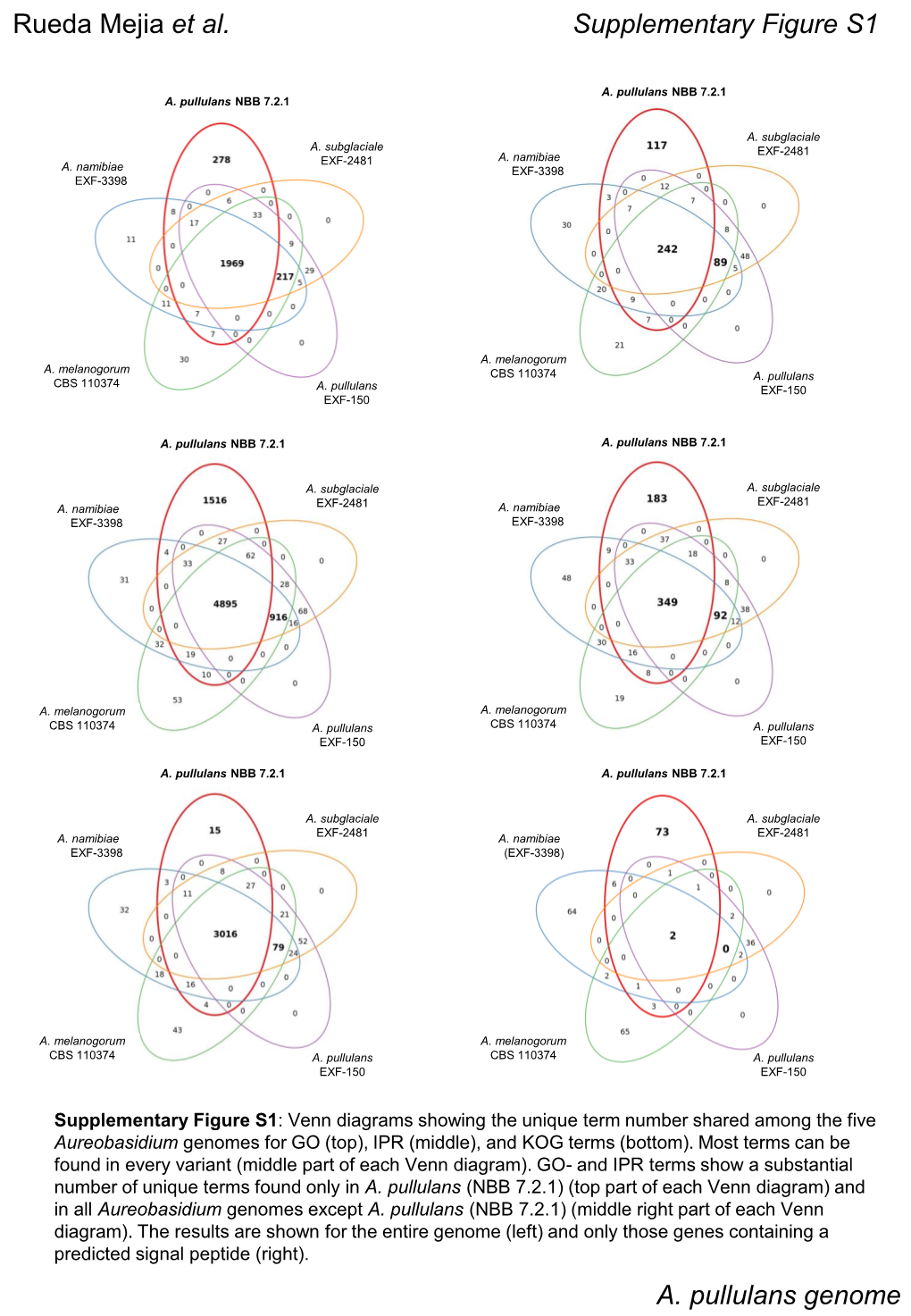 A. Pullulans Genome Supplementary Figure S1 Rueda Mejia Et