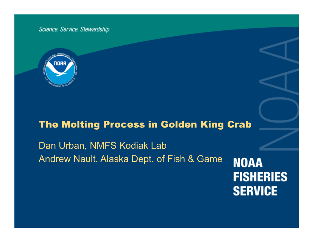 The Molting Process in Golden King Crab Dan Urban, NMFS Kodiak Lab