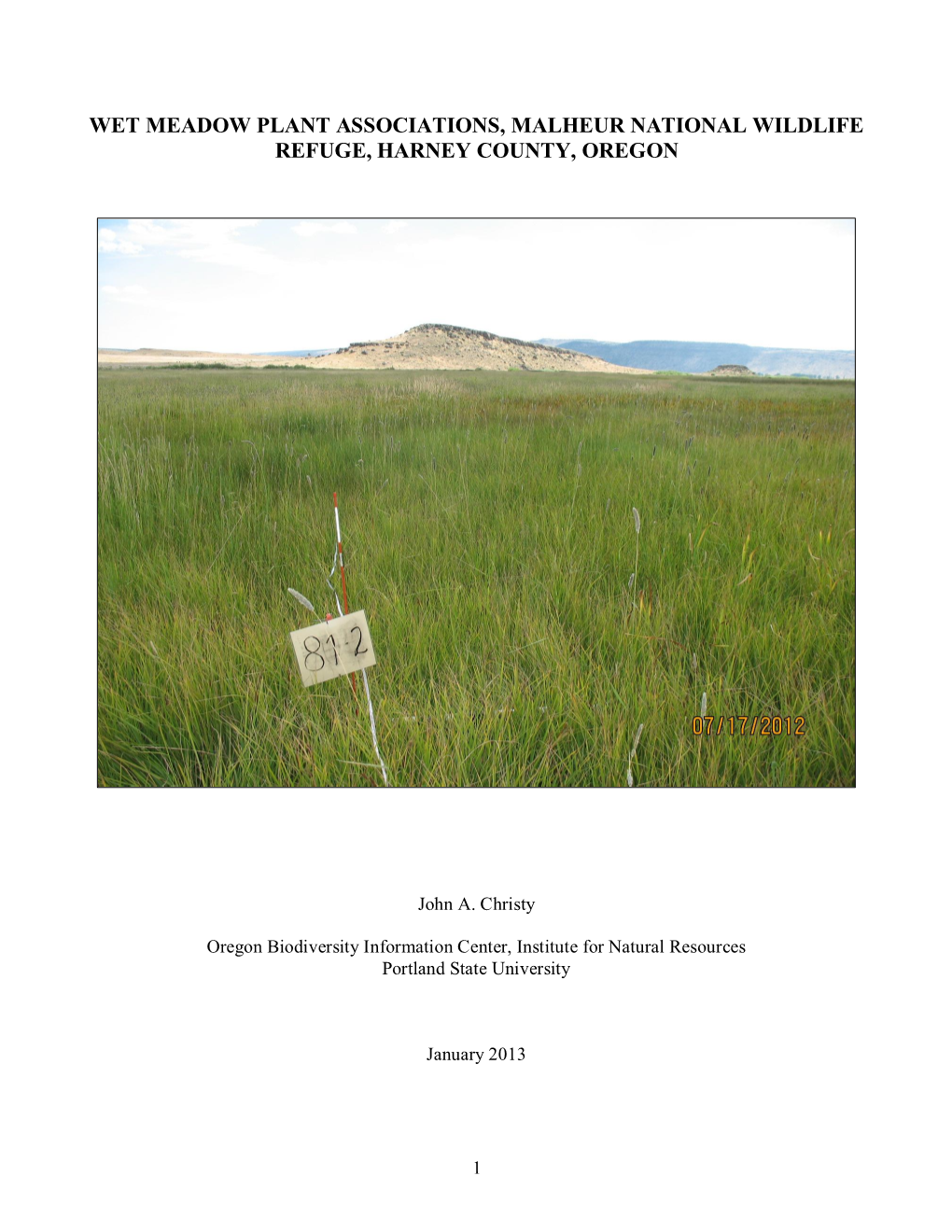 Wet Meadow Plant Associations, Malheur National Wildlife Refuge, Harney County, Oregon