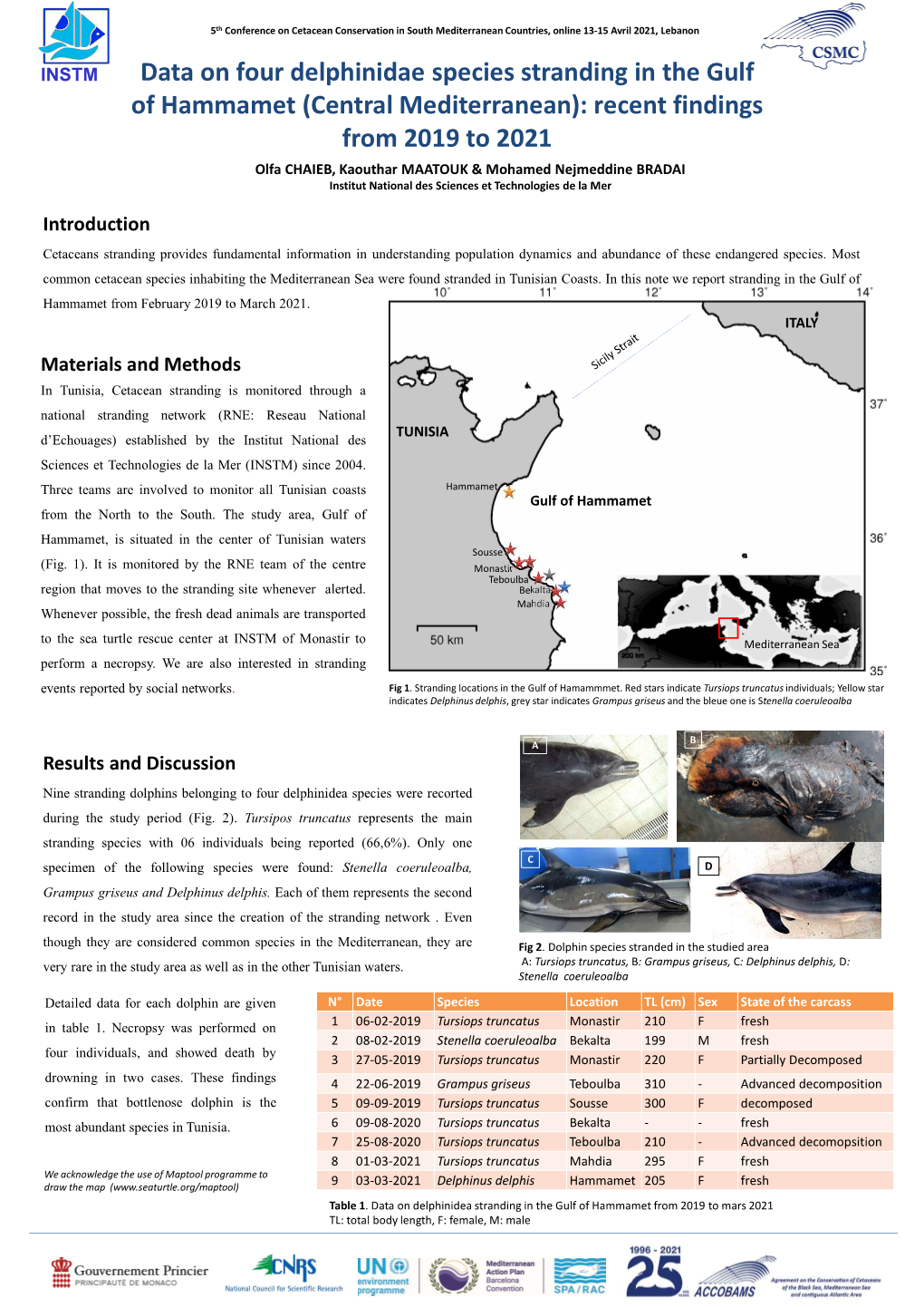 Data on Four Delphinidae Species Stranding in the Gulf of Hammamet