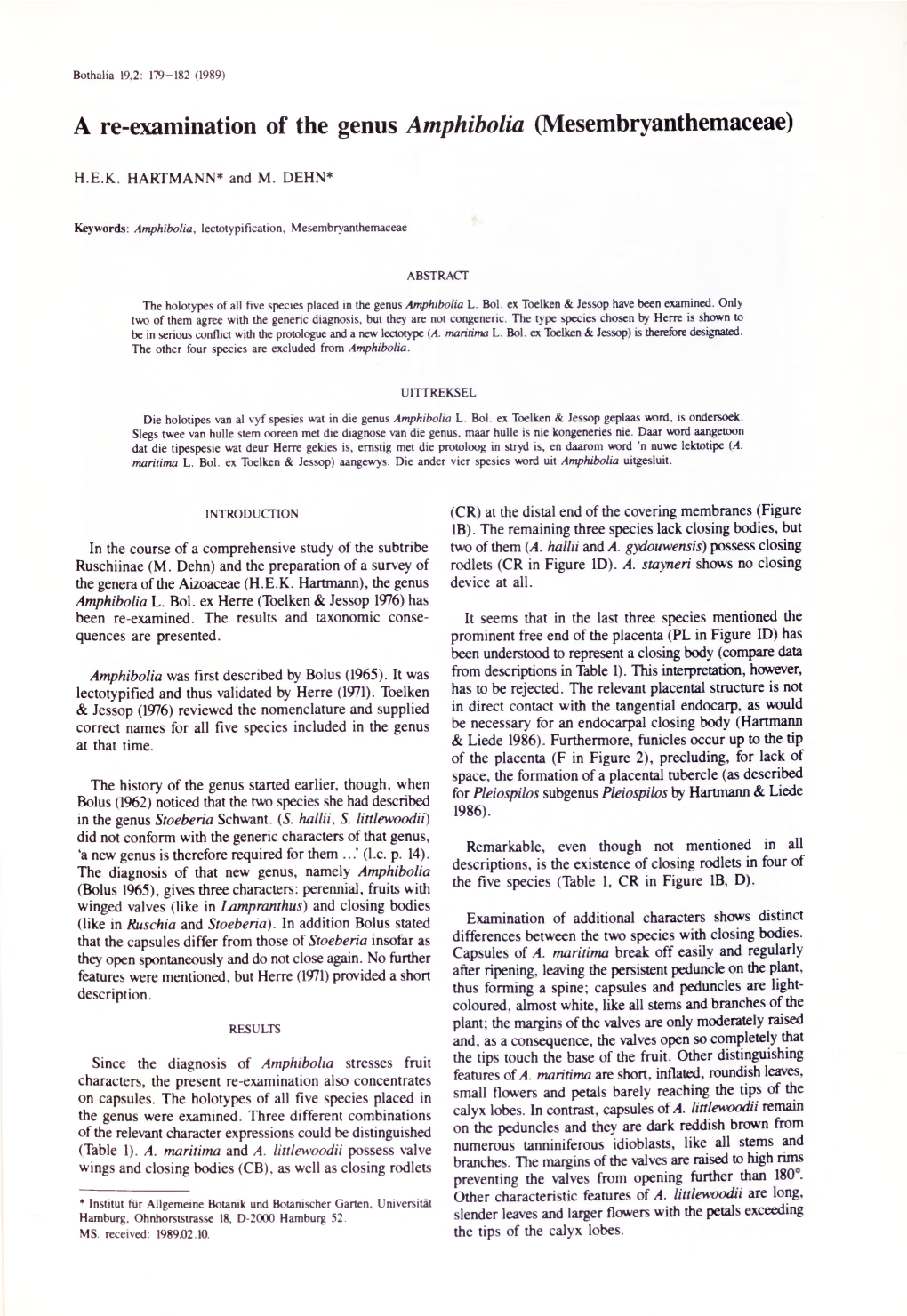 A Re-Examination of the Genus Amphibolia (Mesembryanthemaceae)