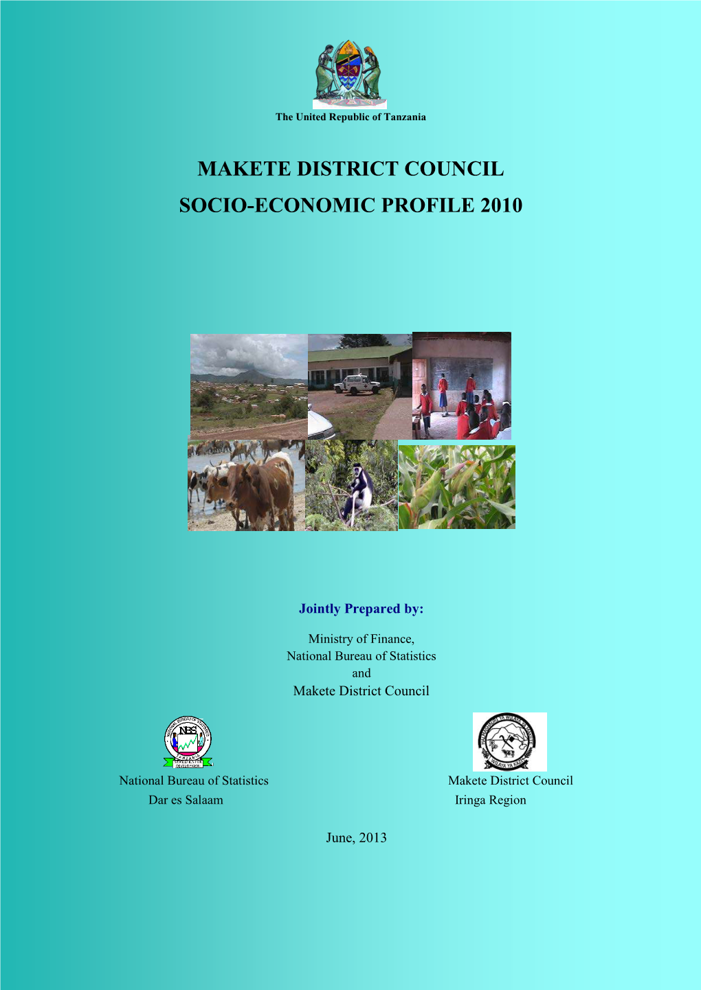 Makete District Council Socio-Economic Profile 2010