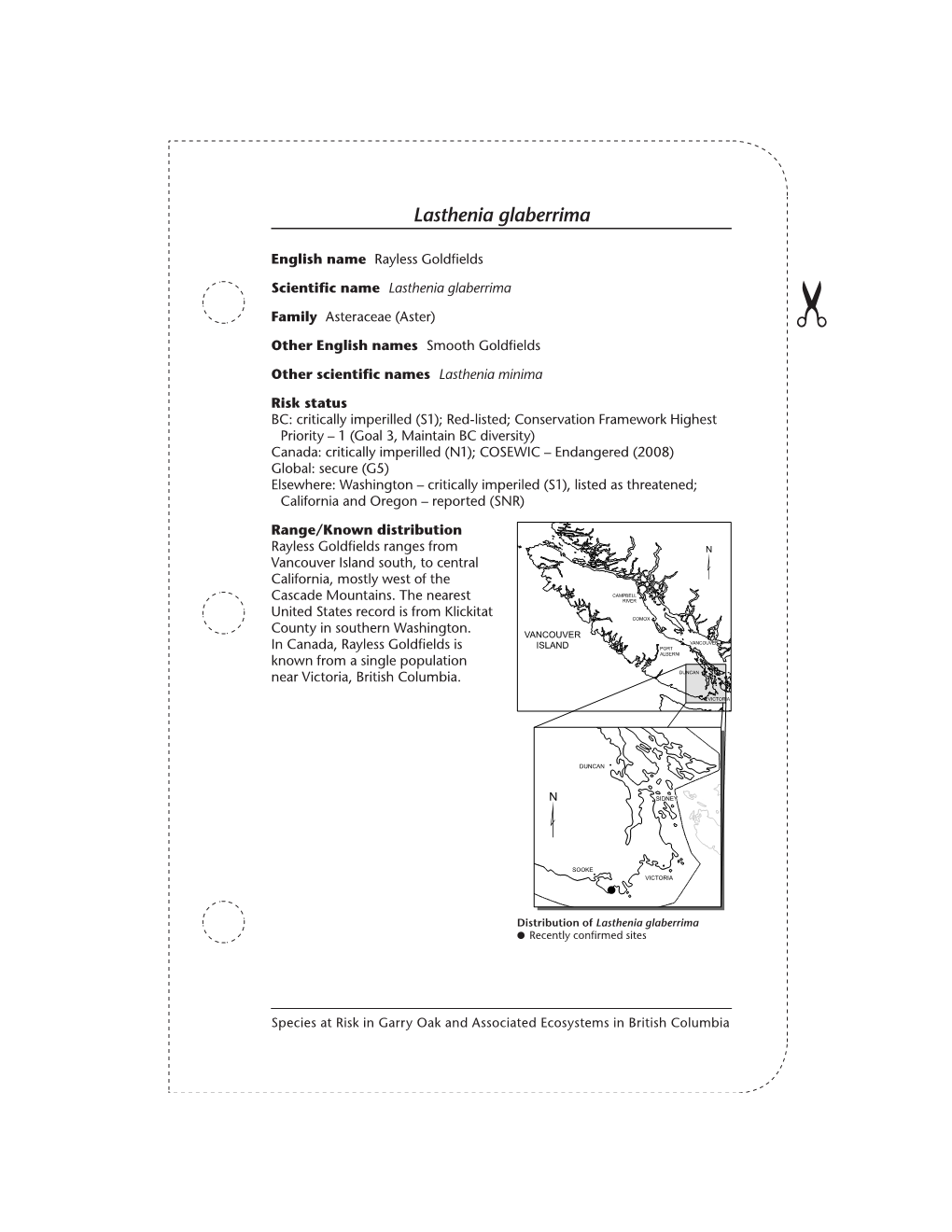 Species at Risk in Garry Oak and Associated Ecosystems in British Columbia (Lasthenia Glaberrima)