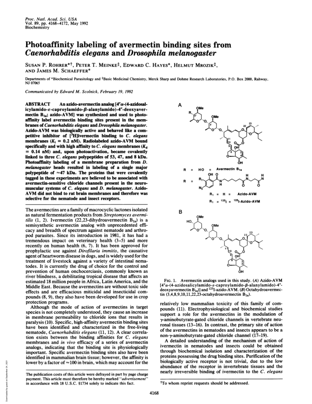 Photoaffinity Labeling of Avermectin Binding Sites from Caenorhabditis Elegans and Drosophila Melanogaster SUSAN P