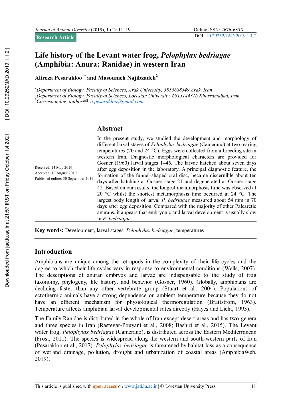 Life History of the Levant Water Frog, Pelophylax Bedriagae (Amphibia: Anura: Ranidae) in Western Iran