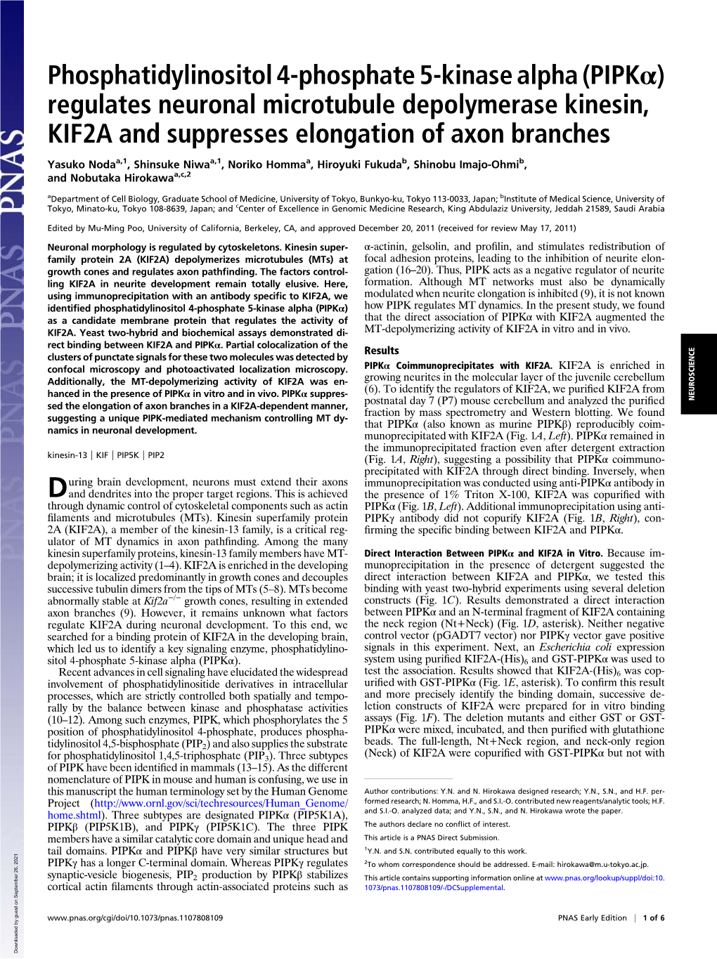 Phosphatidylinositol 4-Phosphate 5-Kinase Alpha (Pipkα) Regulates Neuronal Microtubule Depolymerase Kinesin, KIF2A and Suppresses Elongation of Axon Branches