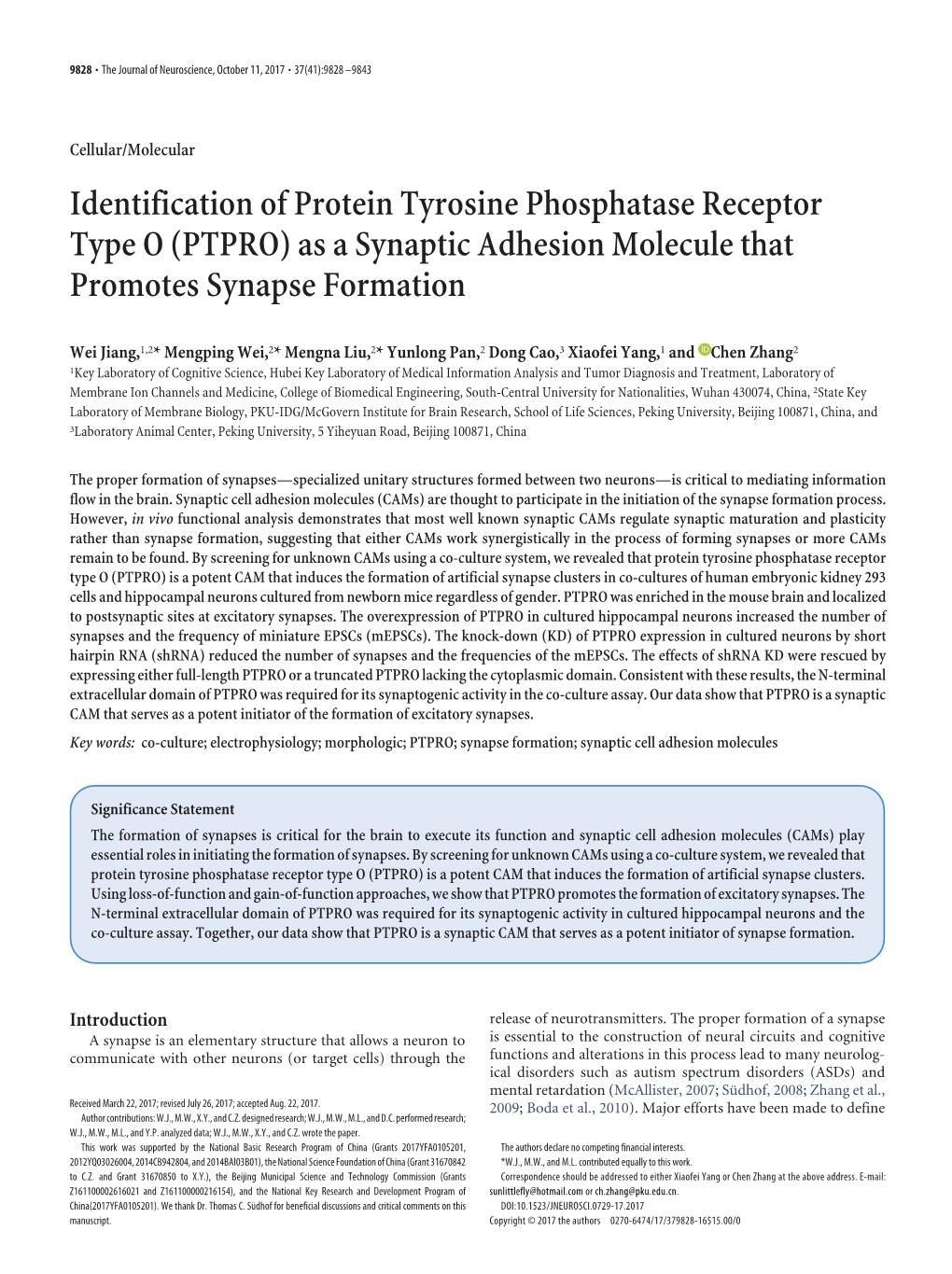 (PTPRO) As a Synaptic Adhesion Molecule That Promotes Synapse Formation