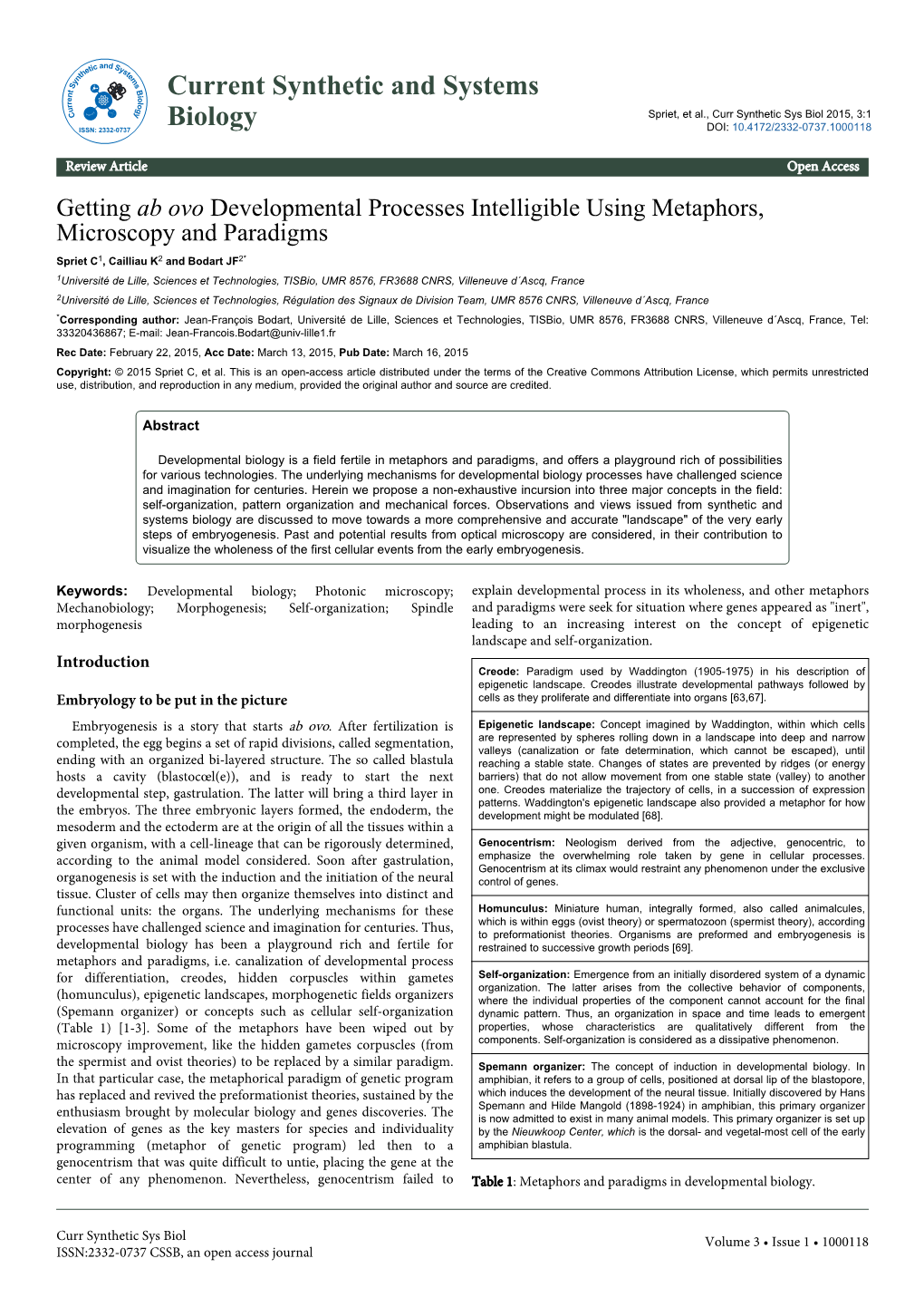 Getting Ab Ovo Developmental Processes Intelligible Using