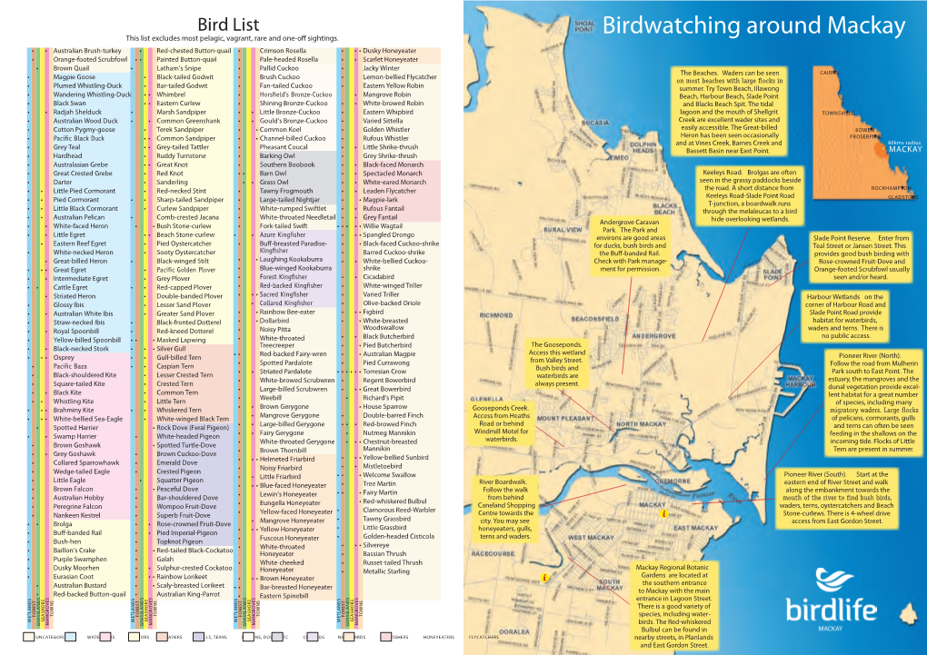 Birdwatching Around Mackay