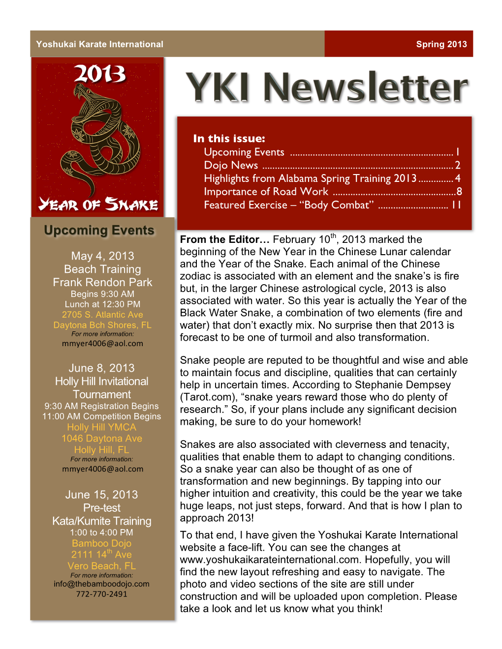 YKI Newsletter 2013Q1