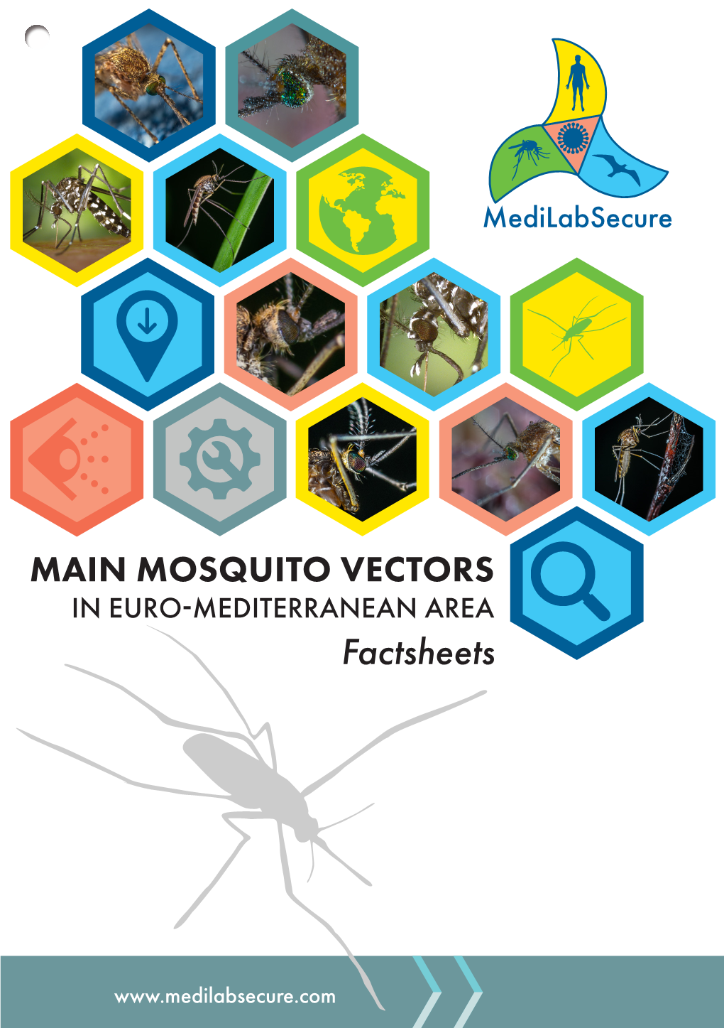 MAIN MOSQUITO VECTORS in EURO-MEDITERRANEAN AREA Factsheets