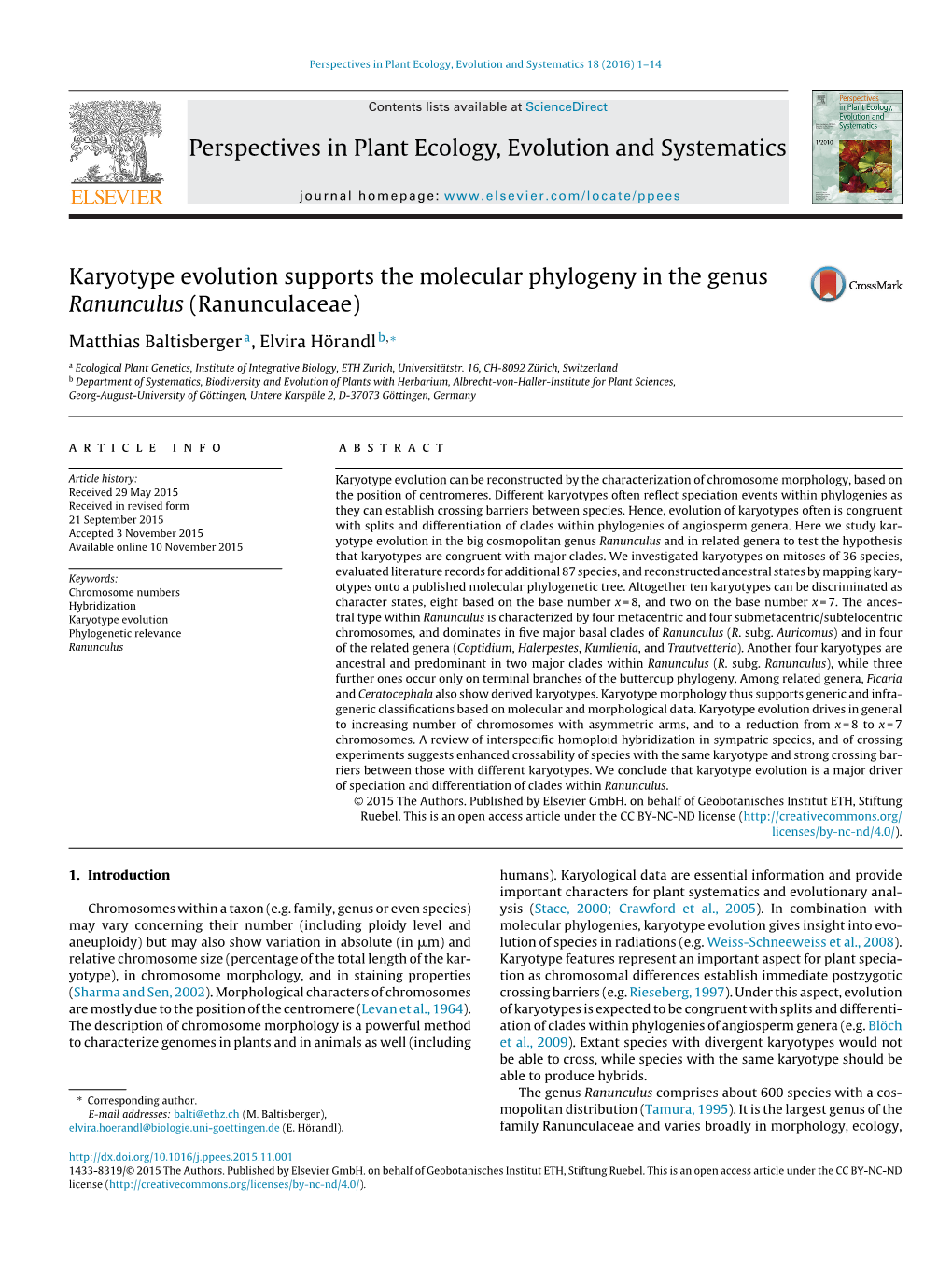 Karyotype Evolution Supports the Molecular Phylogeny in the Genus