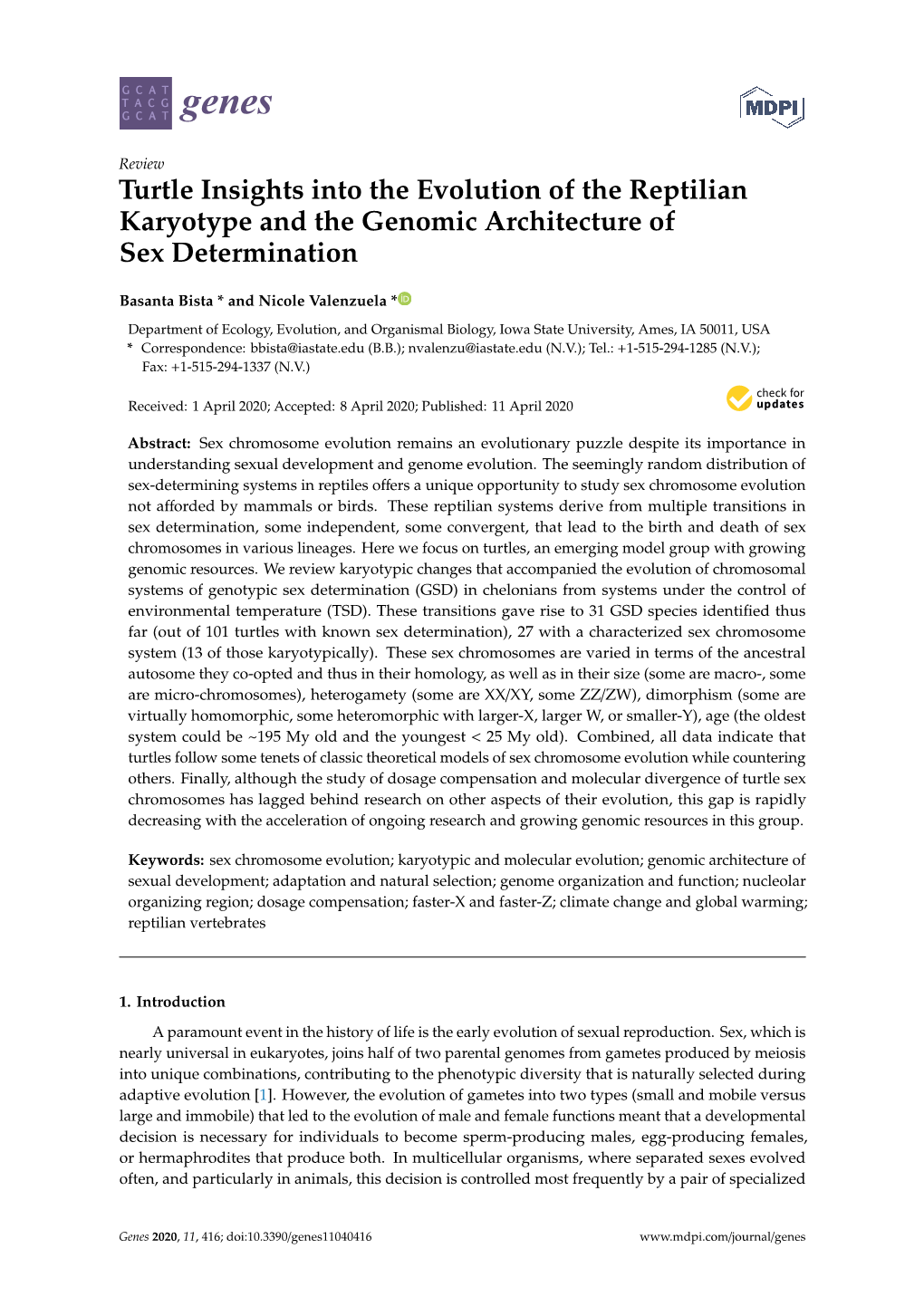 Turtle Insights Into the Evolution of the Reptilian Karyotype and the Genomic Architecture of Sex Determination