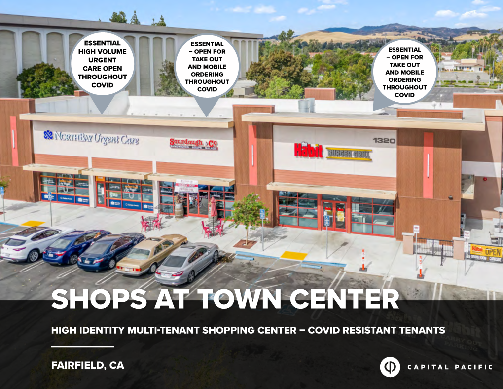 Shops at Town Center High Identity Multi-Tenant Shopping Center – Covid Resistant Tenants