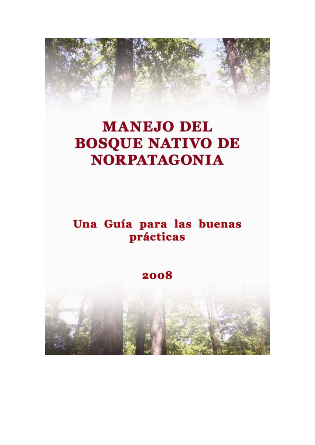 Manual De Buenas Prácticas Forestales Andino