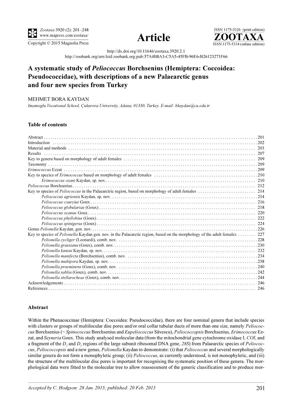 A Systematic Study of Peliococcus Borchsenius (Hemiptera: Coccoidea: Pseudococcidae), with Descriptions of a New Palaearctic Genus and Four New Species from Turkey